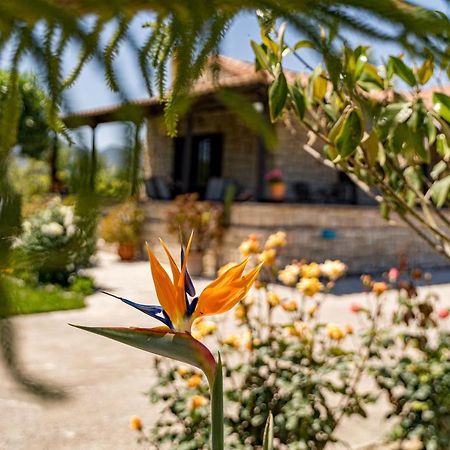 Varta Village - Elea House Kalipádhon Dış mekan fotoğraf
